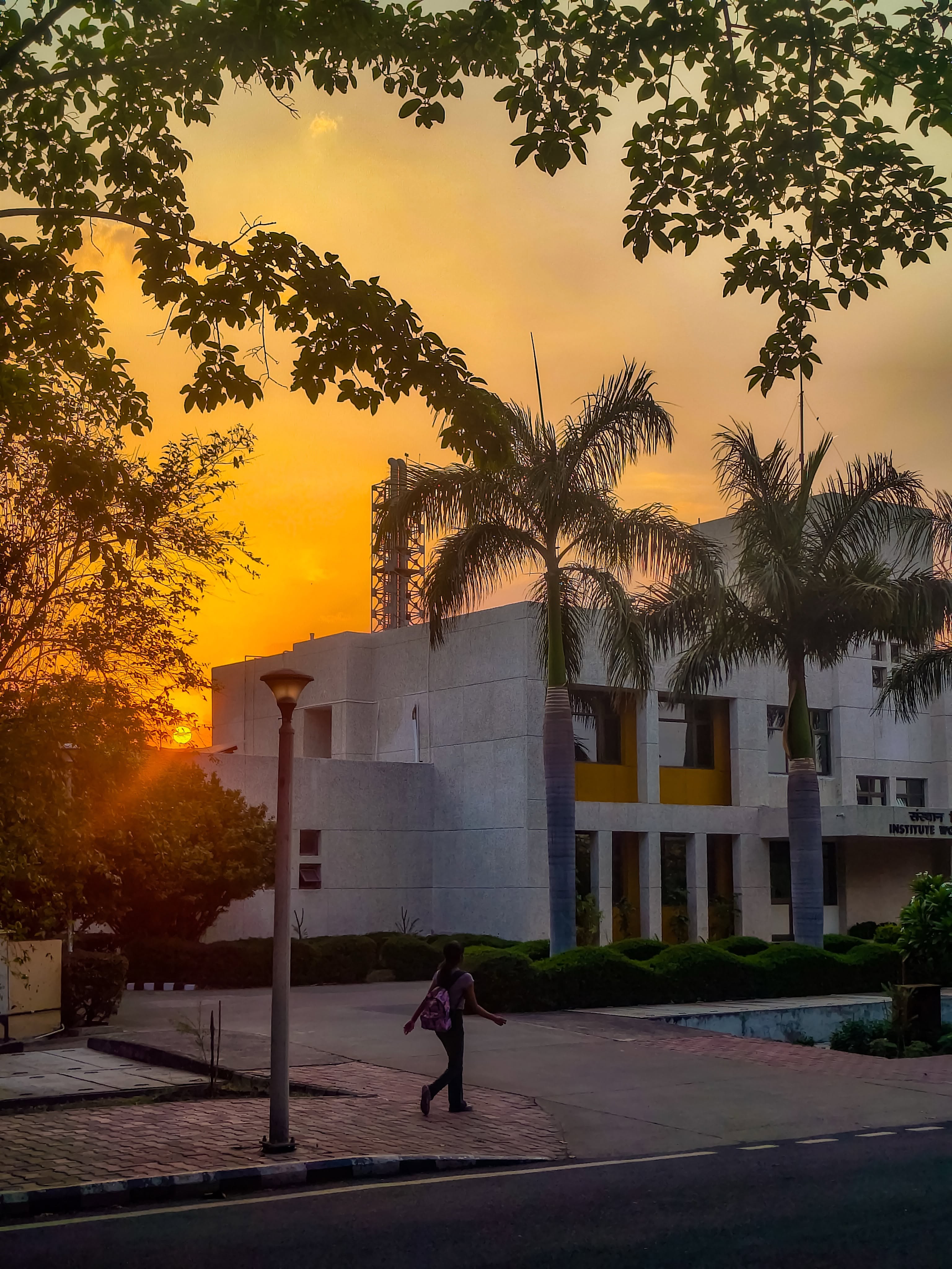 IISER Bhopal campus with sunset