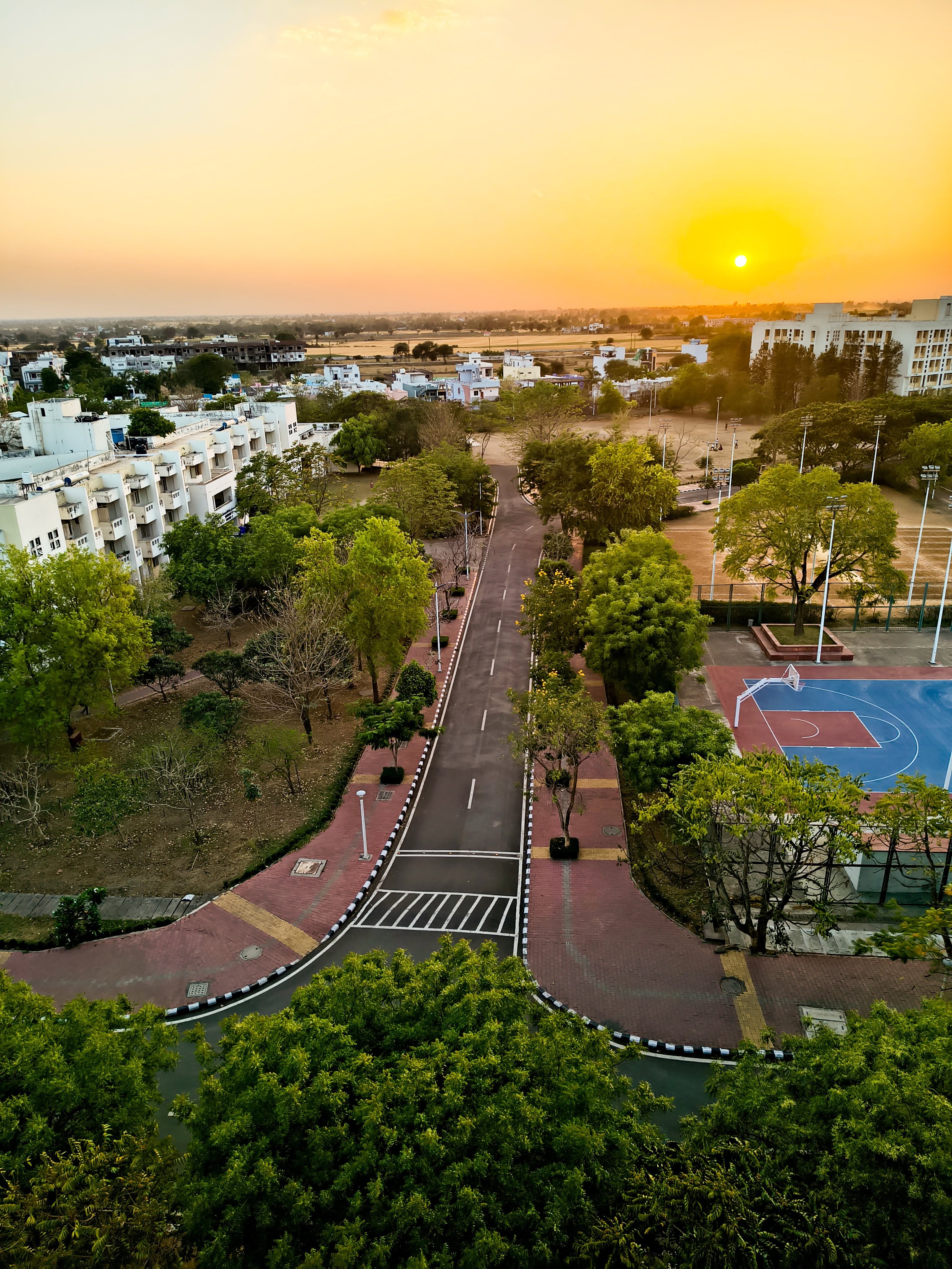 IISER Bhopal campus with trees